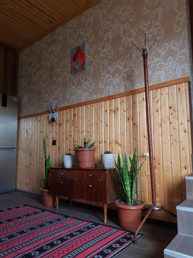 Cozy House Kazbegi酒店 外观 照片